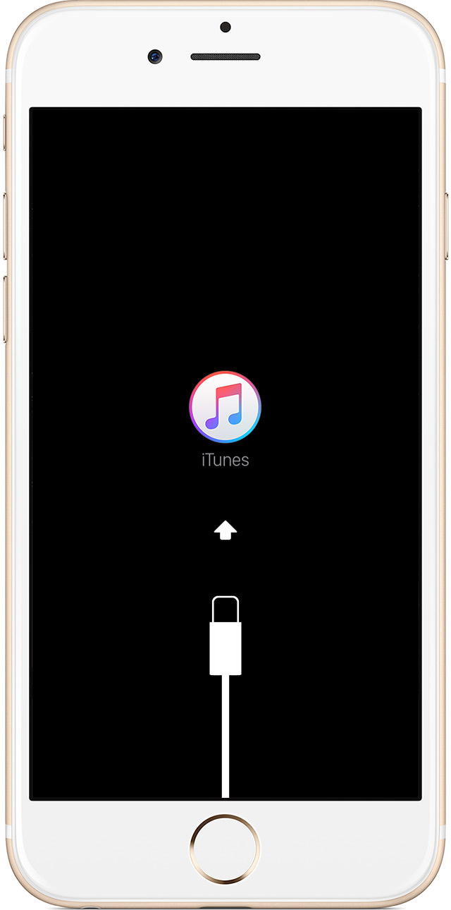 Forfait restauration système iOS iPhone / iPad